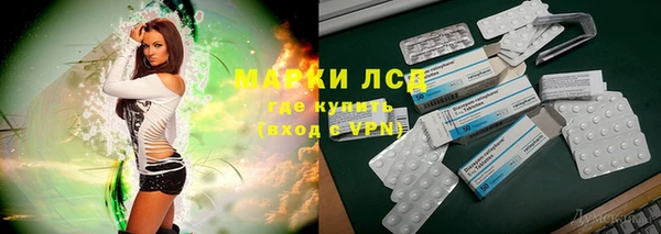 ПСИЛОЦИБИНОВЫЕ ГРИБЫ Краснотурьинск