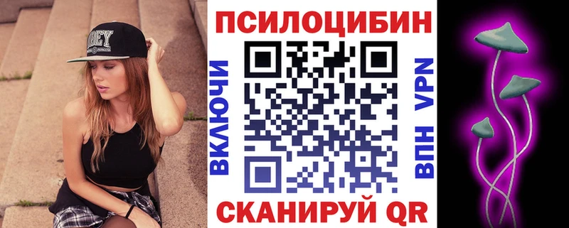 Купить закладки  Тетюши  Псилоцибиновые грибы прущие грибы 